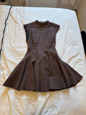 Zara Dark Brown Sleeveless Fit-and-Flare Dress